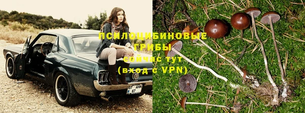 прущие крисы Медногорск