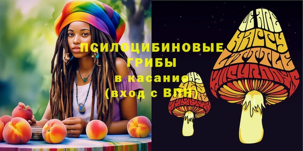 экстази Мегион