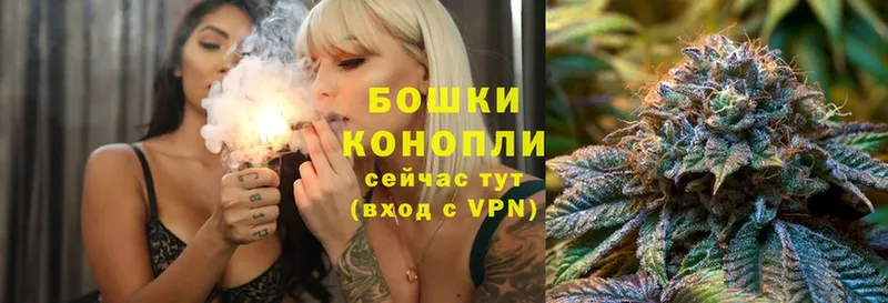 Бошки Шишки THC 21%  продажа наркотиков  Энем 